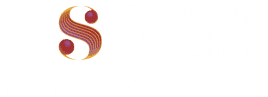 DSO Logo